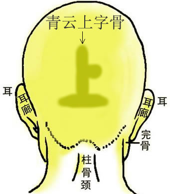 青云上字骨