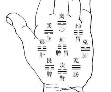 手相学将人的手掌分为八个宫位,与八卦相对应,每一卦代表人的一个脏