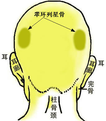 翠环列星骨